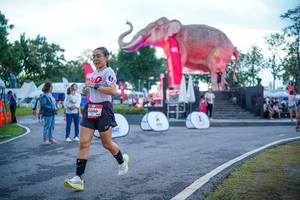 BIB: 
                            <button type="button" onclick="openModal(26551713)" class="btn btn-primary btn-sm float-right btn-popup" data-toggle="modal" data-target=".modal-high-quality">
                        <i class="fas fa-shopping-cart"></i> Add to Cart
                    </button>
                                            <button type="button" onclick="isThisMe(26551713, true)" class="btn btn-success btn-sm float-right btn-popup btn-isme hidden" data-toggle="tooltip" data-placement="bottom" title="นี่คือรูปของคุณใช่ไหม คลิกที่นี่เพื่อเอาเข้าอัลบั้ม">
                        <i class="fas fa-plus"></i> Add to album
                    </button>
                    <button type="button" onclick="isThisMe(26551713, false)" class="btn btn-warning btn-sm float-right btn-popup btn-isnotme hidden">
                        <i class="fas fa-ban"></i> Remove from album
                    </button>